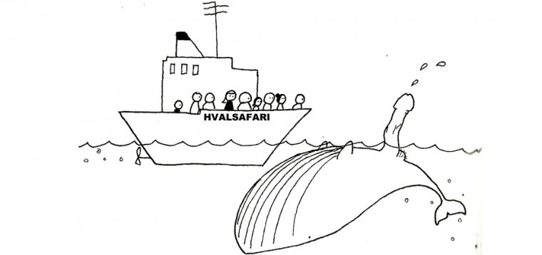 Hvalsafari