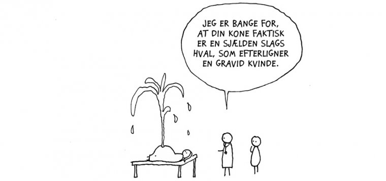 Gravid hval