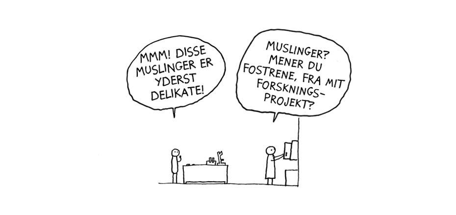 Muslinger