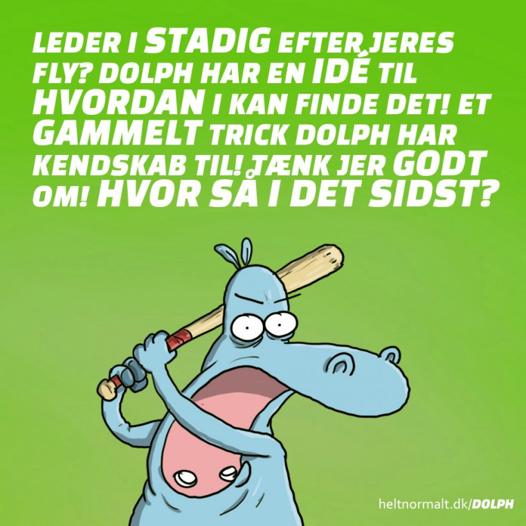 SÅ skal I nok finde jeres fly igen!