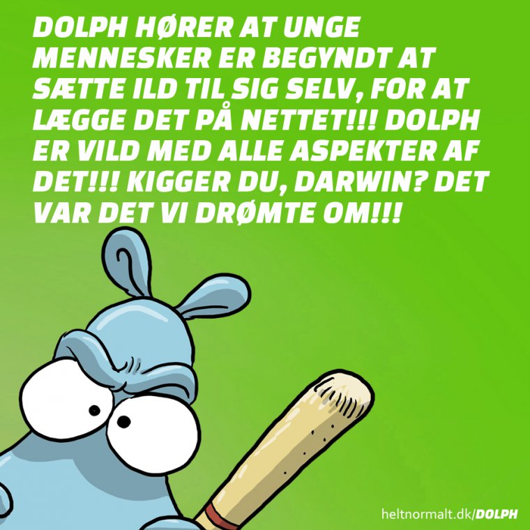 På bålet med jer!!!