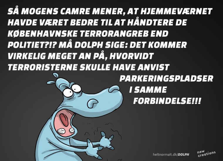 Hvor var Hjemmeværnet?
