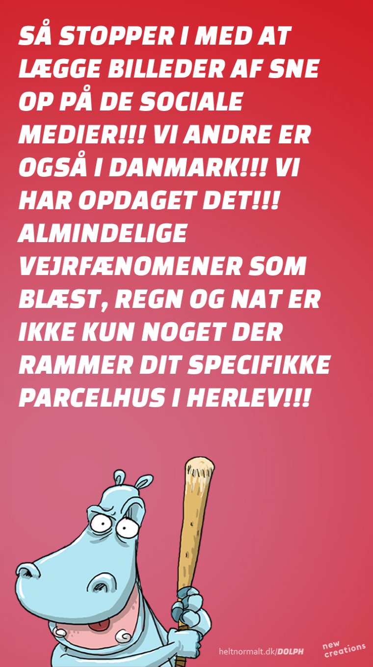 VI HAR FAKTISK ØJNE I HOVEDET!!! 