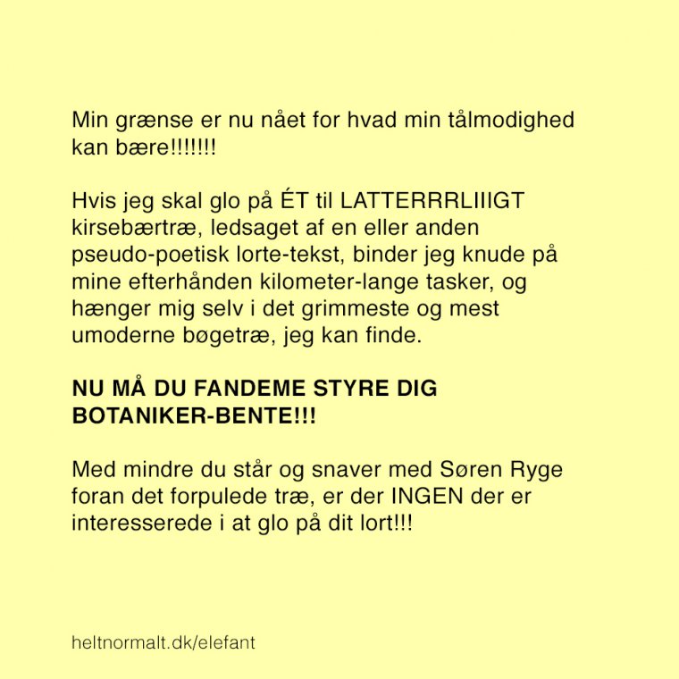 Kirsebærtræer