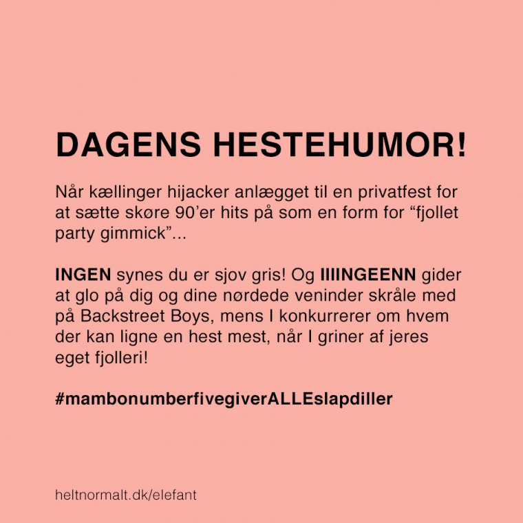 Dagens hestehumor