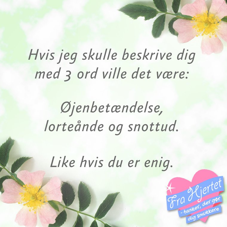 Hvis jeg skulle beskrive dig ...