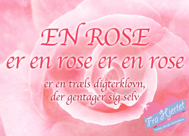 En rose