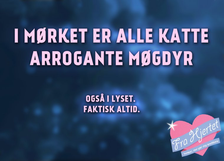 I mørket er alle katte ...