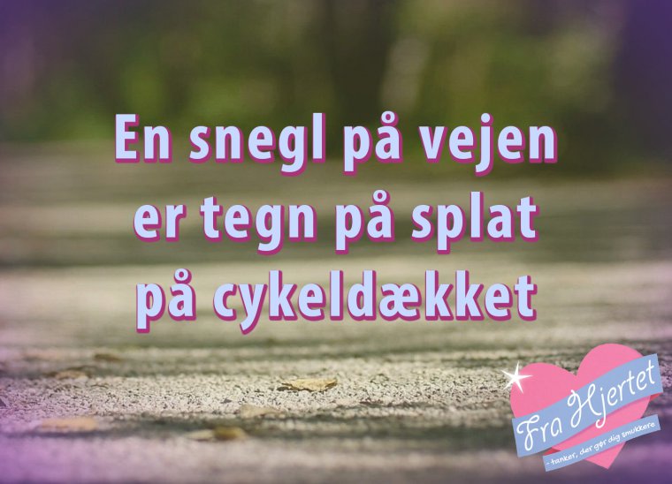 En snegl på vejen ...