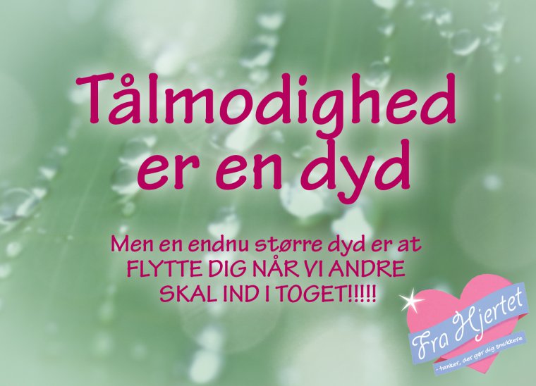 Tålmodighed er en dyd
