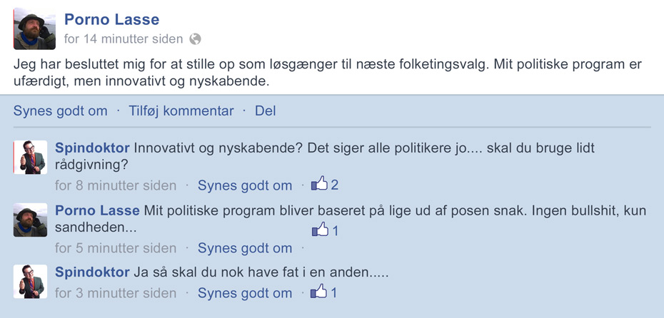 Politisk nyskabelse
