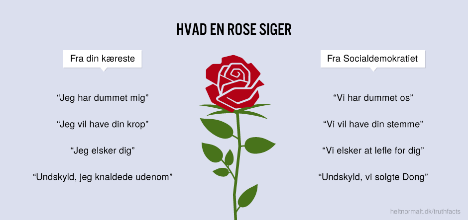 Hvad en rose siger