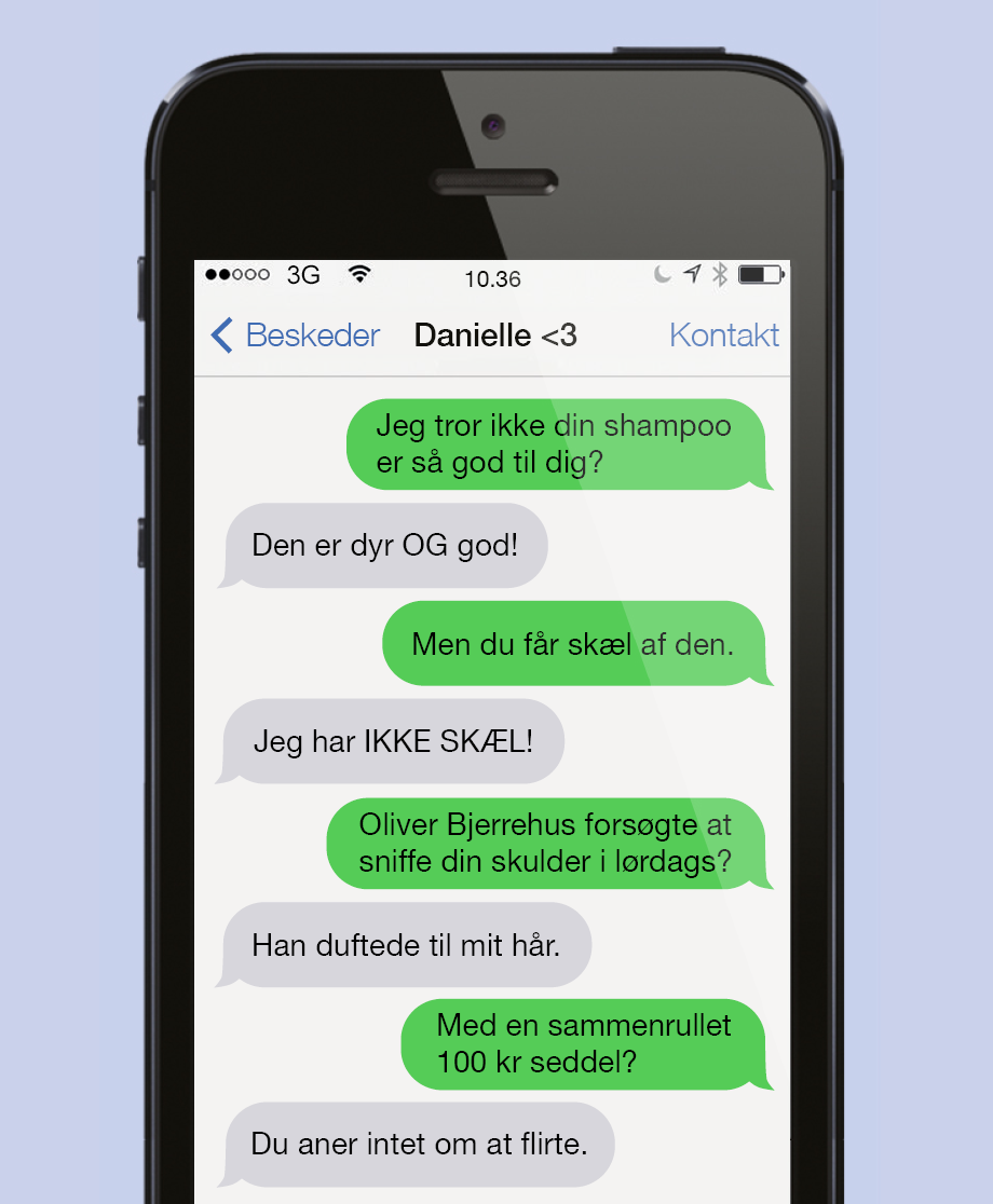 Skæl og Bjerrehus