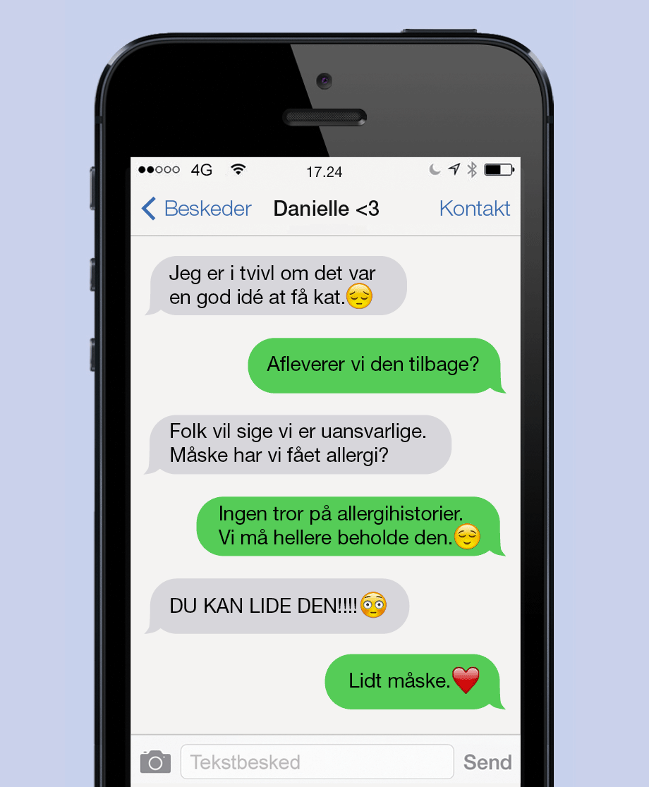 Kattemad er dyrt