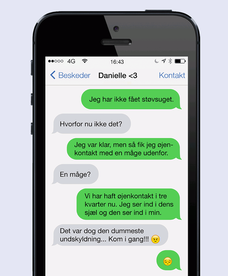 Øjenkontakt med en måge