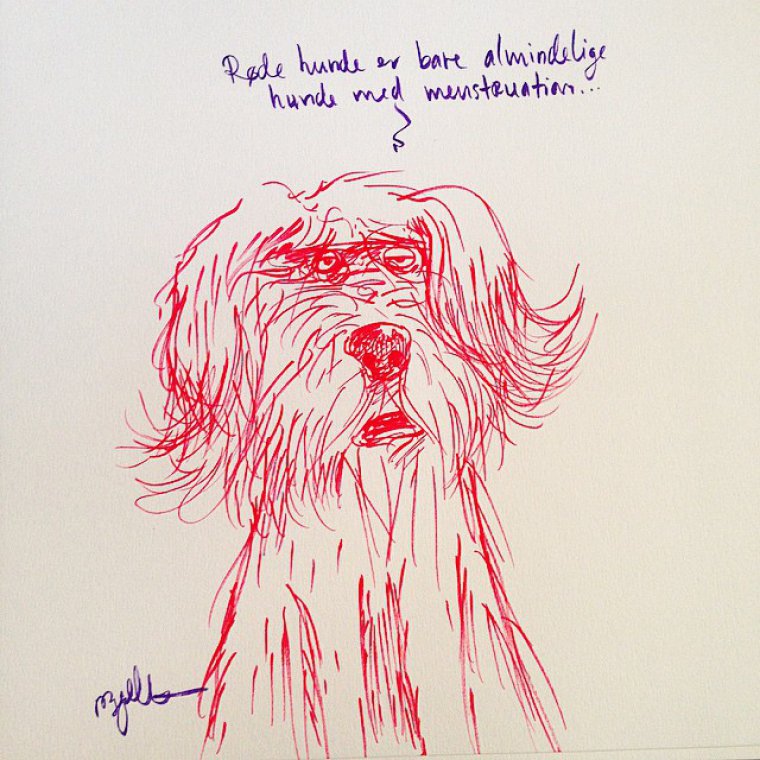 Vov vov, sagde hunden.