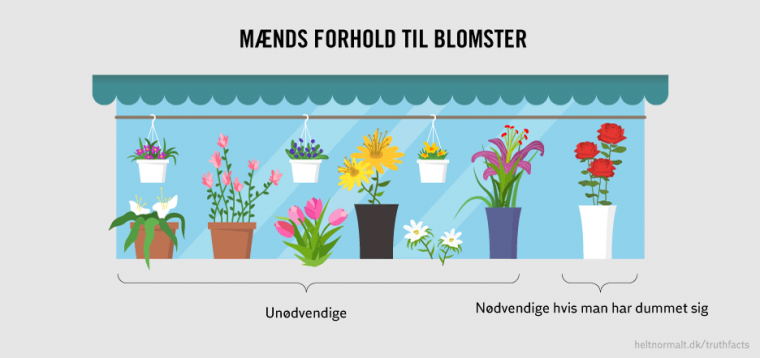 Mænds forhold til blomster