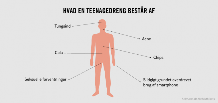 Hvad en teenagedreng består af