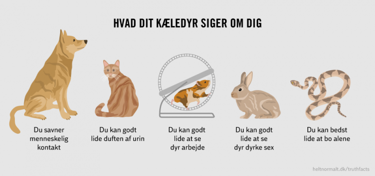 Dit kæledyr
