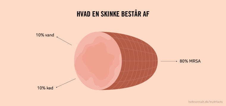 Skinke