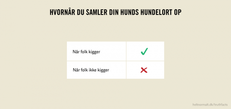 Hvornår du samler hundelort op