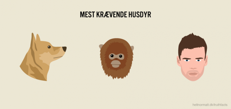 Mest krævende husdyr