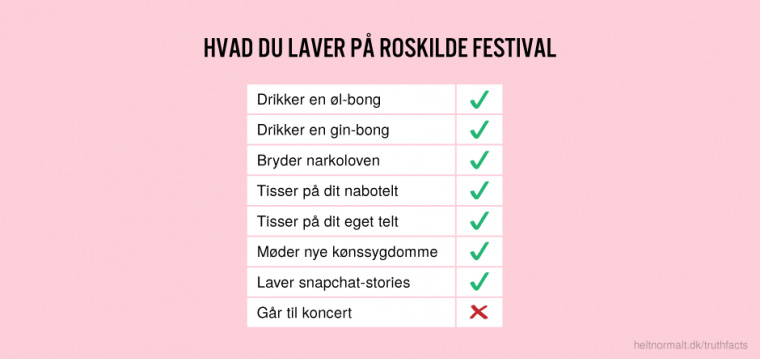 Hvad du laver på Roskilde