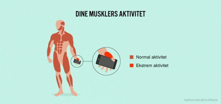 Dine musklers aktivitet