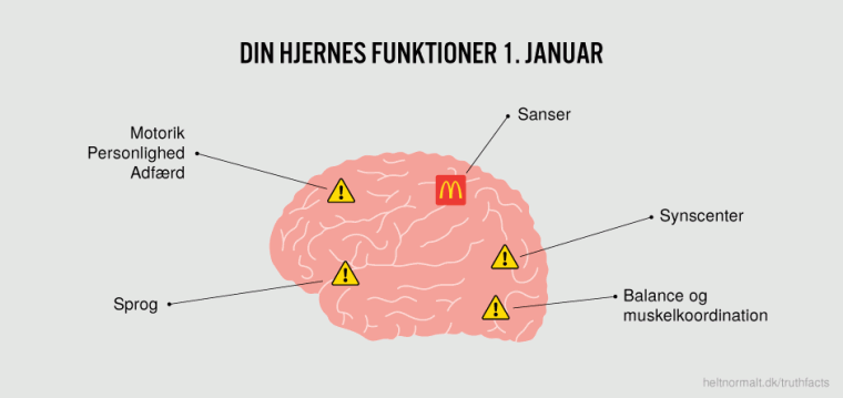 Din hjernes funktioner 1. januar