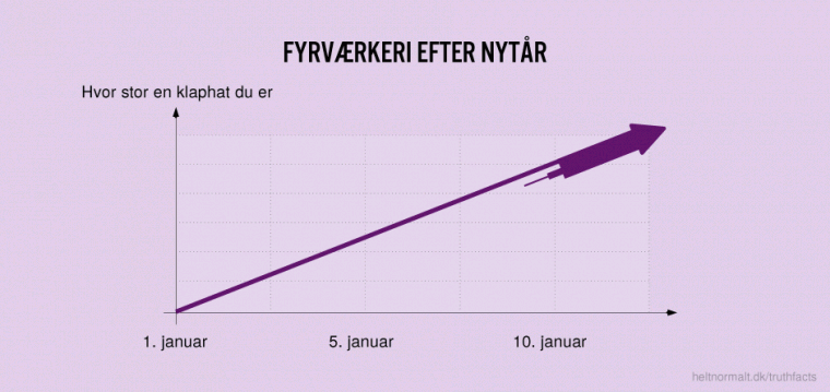 Fyrværkeri efter nytår