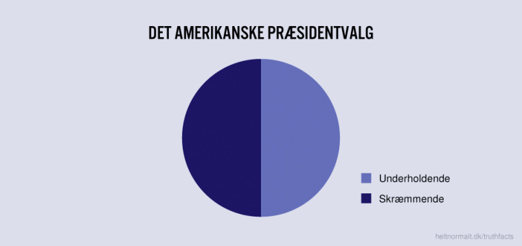 Det amerikanske præsidentvalg