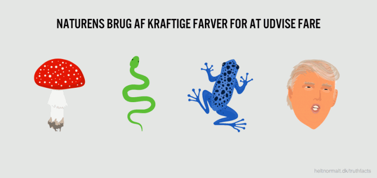 Naturens brug af kraftige farver for at udvise fare