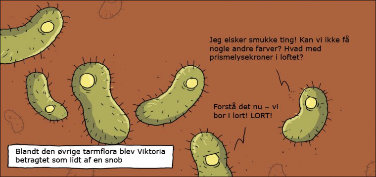 Vi bor i lort