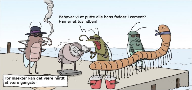 Insektgangster