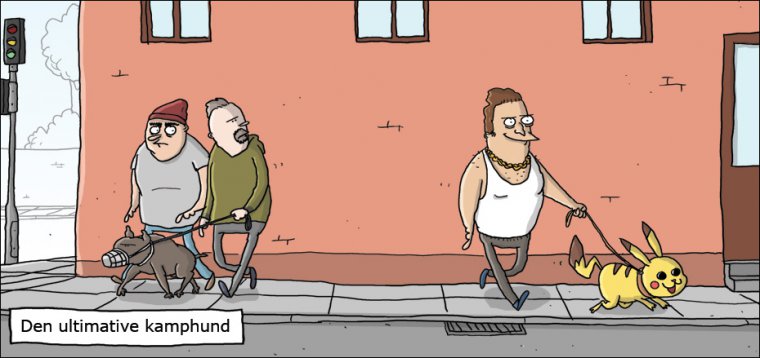 Den ultimative kamphund