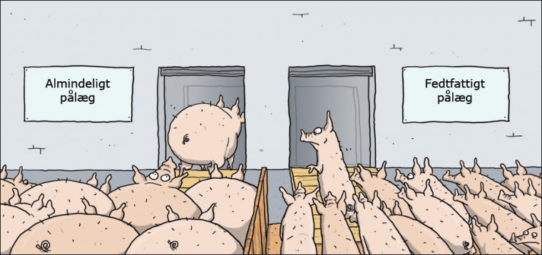 Pålæg