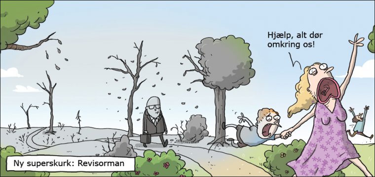 Revisorman