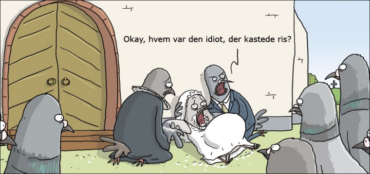 Bryllup og duer