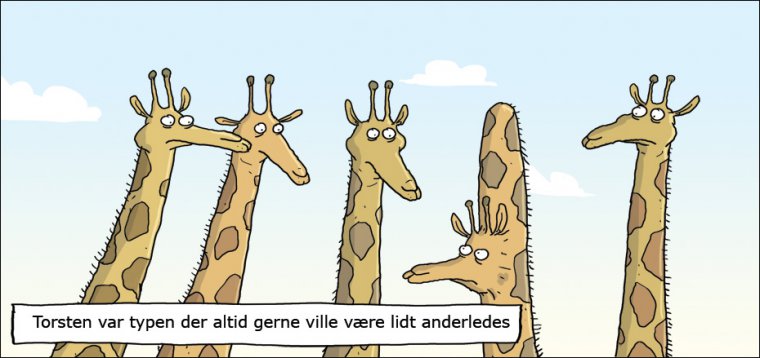 Typen der gerne vil være lidt anderledes