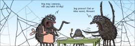 Edderkoppers dagligdag