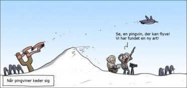 Når pingviner keder sig