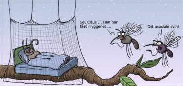 Det asociale svin