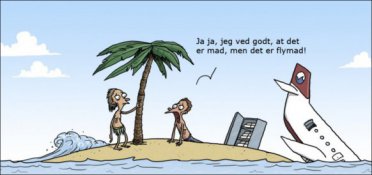 Strandet med flymad