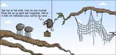 En bilig bolig