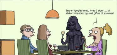 Den perfekte svigersøn findes ikke