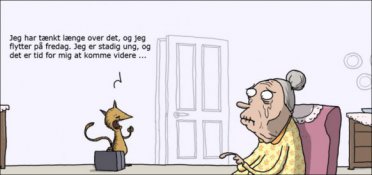 Kattedamens værste mareridt
