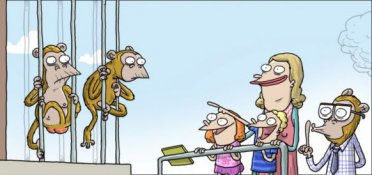 Monkey Undercover
