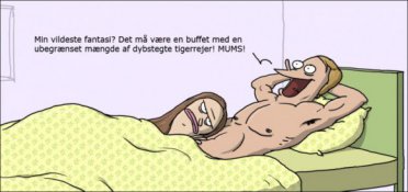Min vildeste fantasi