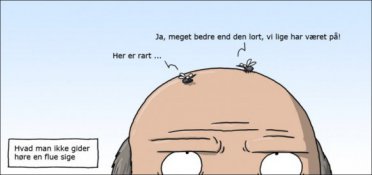 Hvad man ikke vil høre en flue sige