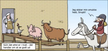 Det handler om at se godt ud